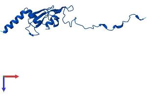 NDUFA12 Protein (AA 1-145) (His tag)