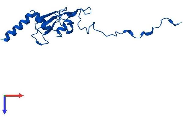 NDUFA12 Protein (AA 1-145) (His tag)