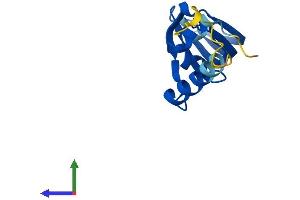 Protein Structure (PS) image for LSM10, U7 Small Nuclear RNA Associated (LSM10) (AA 1-123) protein (His tag) (ABIN7549238)