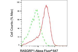 Flow cytometric analysis of RASGRP1 expression in Jurkat cells using RASGRP1 antibody (ABIN7800140), 1:2,000). (Rekombinanter RASGRP1 Antikörper)