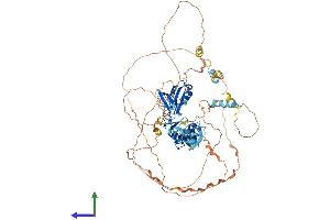 Protein Structure (PS) image for LIM Domain Binding 3 (LDB3) (AA 1-723) protein (His tag) (ABIN7561645)