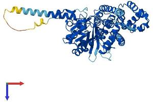 CDC45 Protein (AA 1-566) (His tag)