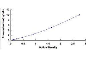 Glutathione S-Transferase omega 1 (GSTO1) ELISA Kit
