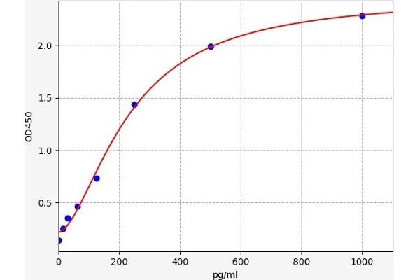 CEBPD ELISA Kit