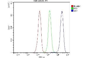 Flow Cytometry analysis of JK cells using anti-GIT1 antibody (ABIN7601683). (GIT1 Antikörper  (AA 415-736))