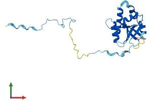 Protein Structure (PS) image for FCF1 Small Subunit (SSU) Processome Component Homolog (FCF1) (AA 1-198) protein (His tag) (ABIN7547719)