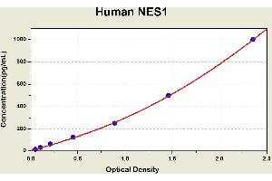 Nesfatin-1 (NES1) ELISA Kit