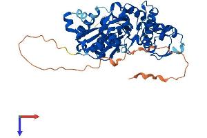 Actin-Like 7A Protein (ACTL7A) (AA 1-435) (His tag)