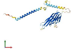 Protein Structure (PS) image for Tumor Necrosis Factor (Ligand) Superfamily, Member 10 (TNFSF10) (AA 1-281) protein (His tag) (ABIN7544424)