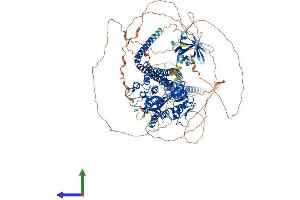 AlphaFold protein structure predicition of Mouse Recombinant Asap1 Protein, UniprotID Q9QWY8