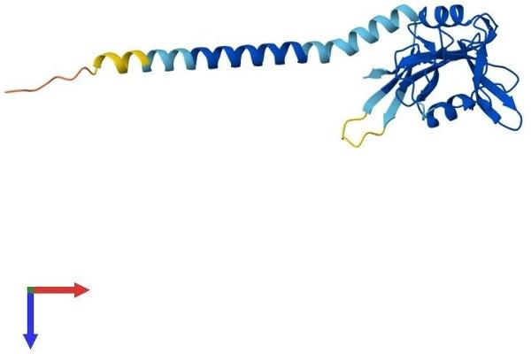C-Type Lectin Domain Family 6, Member A (CLEC6A) (AA 1-209) protein (His tag)