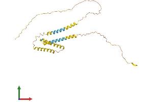 Protein Structure (PS) image for Outer Dense Fiber of Sperm Tails 4 (ODF4) (AA 1-257) protein (His tag) (ABIN7550231)