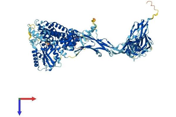 TRAPPC11 Protein (AA 1-1133) (His tag)