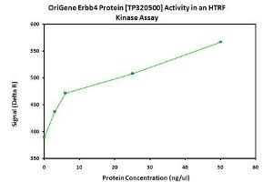 Bioactivity measured with Activity Assay (ERBB4 Protein (Myc-DYKDDDDK Tag))