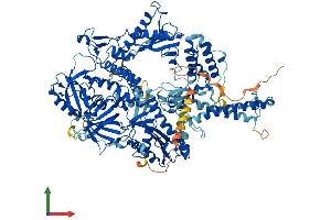 Protein Structure (PS) image for Polymerase (DNA Directed), delta 1, Catalytic Subunit 125kDa (POLD1) (AA 1-1105) protein (His tag) (ABIN7563416)