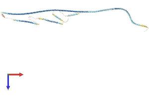 SDCCAG8 Protein (AA 1-717) (His tag)
