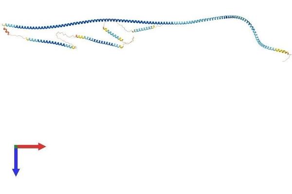 SDCCAG8 Protein (AA 1-717) (His tag)