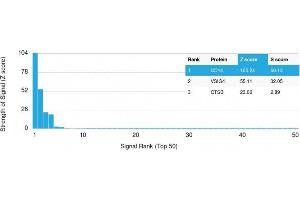 Analysis of Protein Array containing more than 19,000 full-length human proteins using CD14 Mouse Monoclonal Antibody (LPSR/2397) Z- and S- Score: The Z-score represents the strength of a signal that a monoclonal antibody (MAb) (in combination with a fluorescently-tagged anti-IgG secondary antibody) produces when binding to a particular protein on the HuProtTM array. (CD14 Antikörper  (AA 25-148))