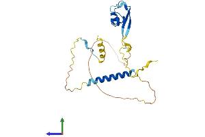 AlphaFold protein structure predicition of Human Recombinant LYSMD1 Protein, UniprotID Q96S90 (LYSMD1 Protein (AA 1-227) (His tag))