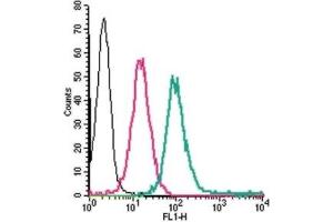 Cell surface detection of ADORA2A in live intact human THP-1 monocytic leukemia cells: (black line) Cells. (Adenosine A2a Receptor Antikörper  (2nd Extracellular Loop))