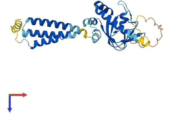 POPDC3 Protein (AA 1-291) (His tag)