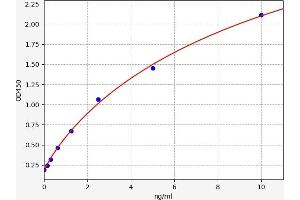 UCP3 ELISA Kit