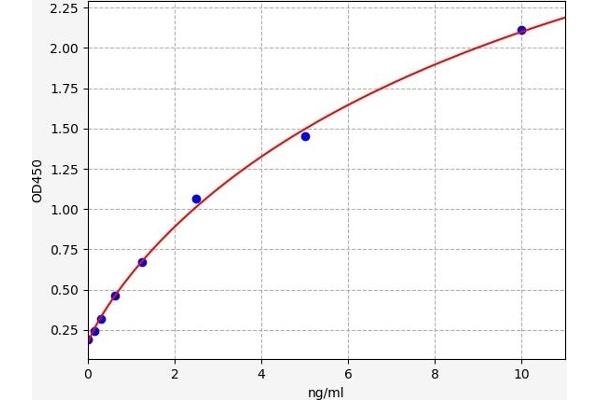 UCP3 ELISA Kit