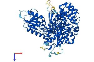 VPS33A Protein (AA 1-596) (His tag)
