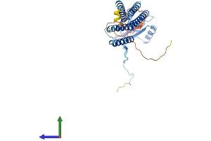 DUOXA1 Protein (AA 1-341) (His tag)