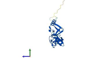 Protein Structure (PS) image for LIM Domain Only 2 (Rhombotin-Like 1) (LMO2) (AA 1-158) protein (His tag) (ABIN7563010)