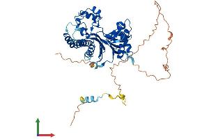Protein Structure (PS) image for TGF-beta Activated Kinase 1/MAP3K7 Binding Protein 1 (TAB1) (AA 1-504) protein (His tag) (ABIN7544156)