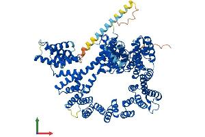 AlphaFold protein structure predicition of Mouse Recombinant Naa15 Protein, UniprotID Q80UM3