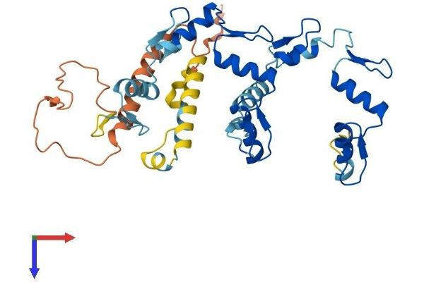 ZNF124 Protein (AA 1-351) (His tag)