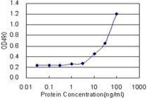 Sandwich ELISA detection sensitivity ranging from 3 ng/mL to 100 ng/mL. (LZTFL1 (Human) Matched Antibody Pair)
