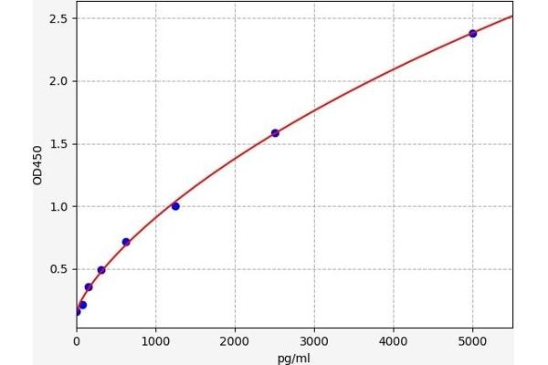 ADRB1 ELISA Kit