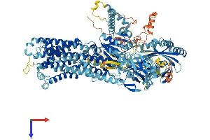 ATP8B1 Protein (AA 1-1251) (His tag)