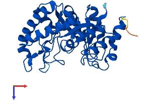 HYI Protein (AA 1-277) (His tag)