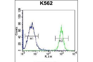 Flow cytometric analysis of K562 cells (right histogram) compared to a negative control cell (left histogram). (Parathymosin Antikörper  (C-Term))