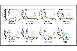 BOSC23 cells were transiently transfected with expression vectorscontaining either the cDNA of CEACAM1, CEACAM3-8 or PSG. (CEACAM8 Antikörper)