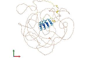 AlphaFold protein structure predicition of Mouse Recombinant Proser1 Protein, UniprotID Q5PRE5 (PROSER1 Protein (AA 1-913) (His tag))