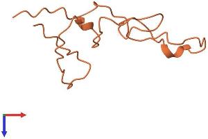KRTAP7-1 Protein (AA 1-87) (Fc Tag)