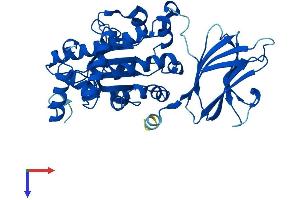 AlphaFold protein structure predicition of Human Recombinant SEC14L6 Protein, UniprotID B5MCN3