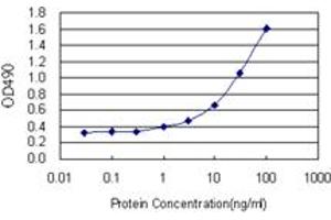 Sandwich ELISA detection sensitivity ranging from 1 ng/mL to 100 ng/mL. (TCF7 (Human) Matched Antibody Pair)