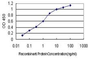 Detection limit for recombinant GST tagged FHIT is approximately 0. (FHIT Antikörper  (AA 31-130))