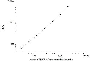 Typical standard curve (TNKS2 CLIA Kit)