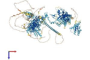 GCN2 Protein (AA 1-1649) (His tag)