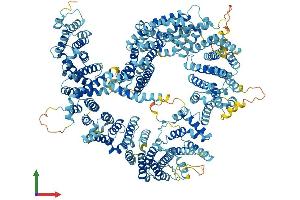 AlphaFold protein structure predicition of Human Recombinant URB2 Protein, UniprotID Q14146