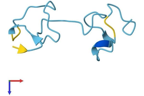 MT2A Protein (AA 1-61) (Fc Tag)