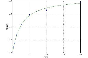 Microfibrillar Associated Protein 5 (MFAP5) ELISA Kit
