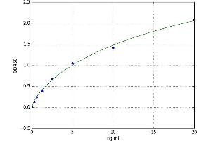 A typical standard curve
